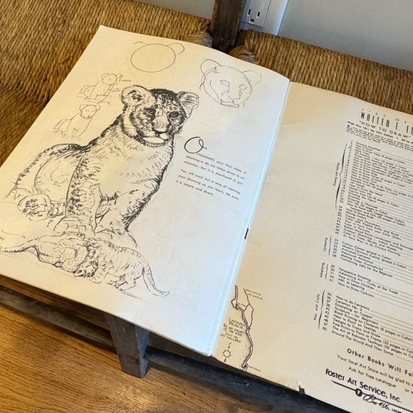Walter T. Foster How to Draw vintage art book - Picture 8 of 11